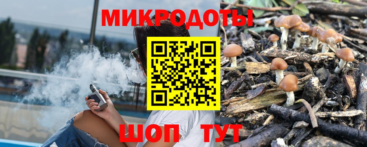 Псилоцибиновые грибы Cubensis Омск